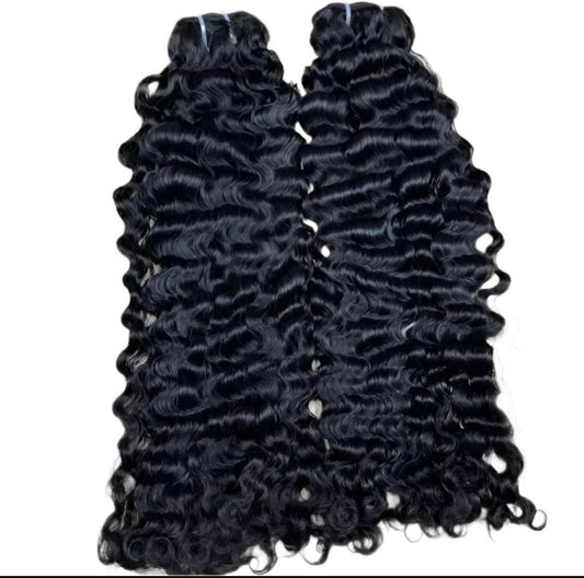 BURMESE EXOTIC CURLY